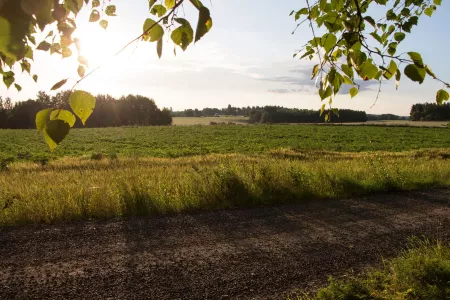 Mökillä! Tanjan uusi mökkikirja esittelyssä