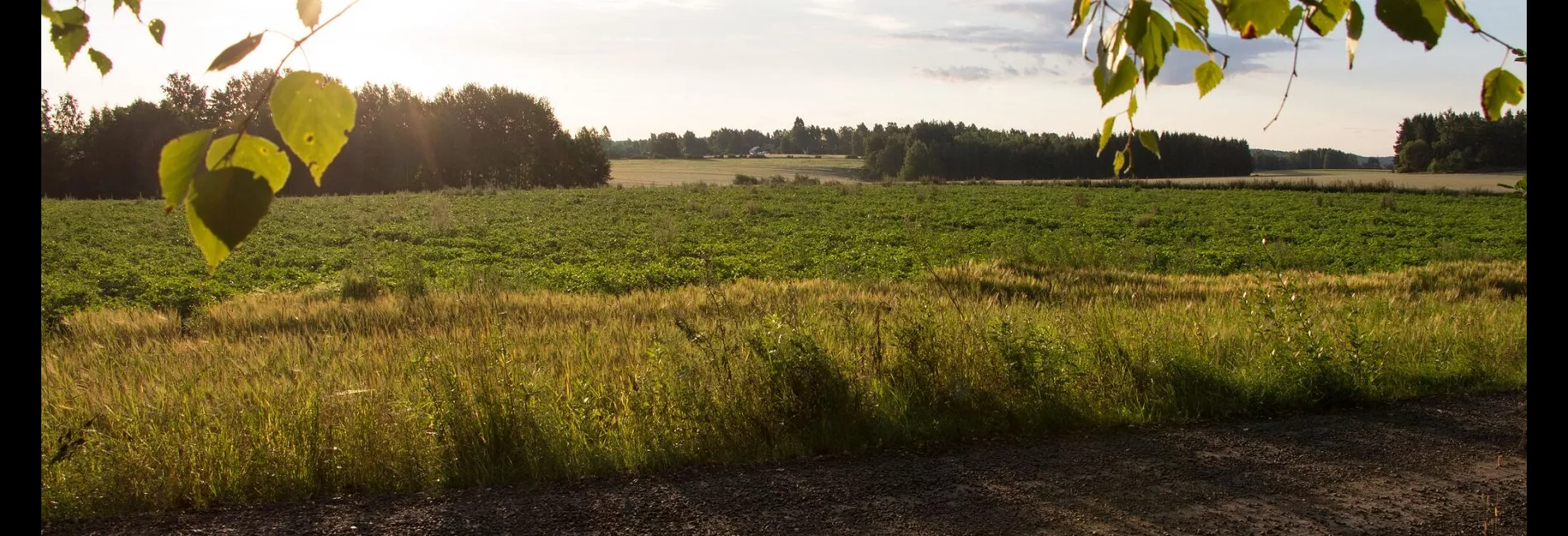 Mökillä! Tanjan uusi mökkikirja esittelyssä