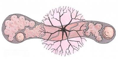 Pihasuunnitteluvalmennus